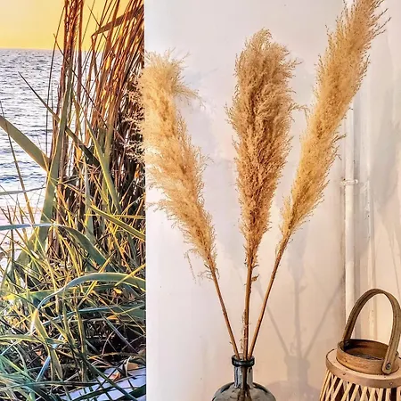 Dunes 2, Bright Ground Floor 아파트 *