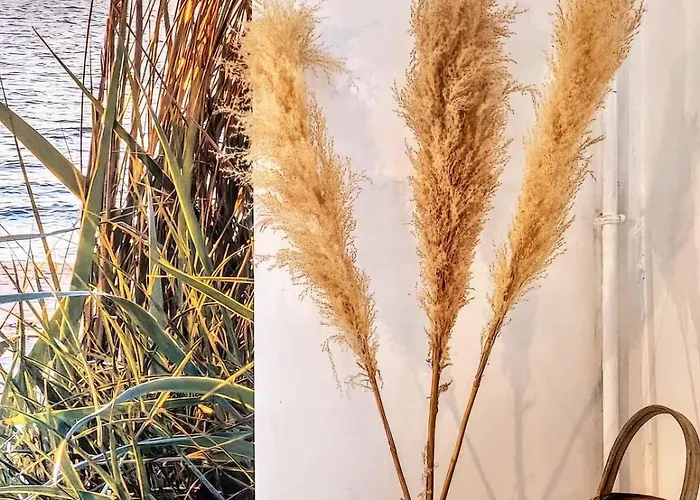 Dunes 2, Bright Ground Floor